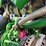 john-deere-5055e-image-49