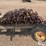 electric-fence-posts-image-6