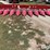 2010-case-ih-3412-image-2