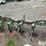 john-deere-885-image-6