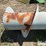 agco-flex-head-auger-image-13