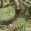 glencoe-soil-saver-image-16