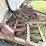 john-deere-10-image-12