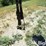 john-deere-725-image-18