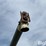westgo-grain-master-60’x8”-grain-auger-image-16