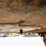 2002-great-dane-van-trailer-image-8