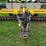aerway-12'-pull-areator-image-25