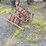allis-chalmers-ca-tractor-w/cultivators-(runs)-image-14
