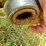 roto-grind-1090-image-11