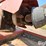 rhino-se7-image-11