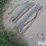 cattle-gate-chains-qty-12-image-3