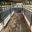 1994-kiefer-built-stockmaster-magnum-t/a-livestock-trailer-image-18