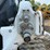 2025-bobcat-t66-image-11