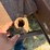 new-idea-203-image-13