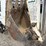 bobcat-b250-image-15