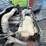 #108-•-2020-international-semi-tractor-(has-wi-title)-(denmark,-wi)-image-80