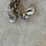 2---chains-w/hooks-image-2