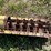 buhler-farm-king-861-image-19