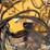 vermeer-bp8000-image-15