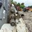 2011-takeuchi-tl240-image-11