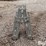 fold-n-load-atv-ramps-image-2