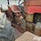 1959-massey-ferguson-85-image-14