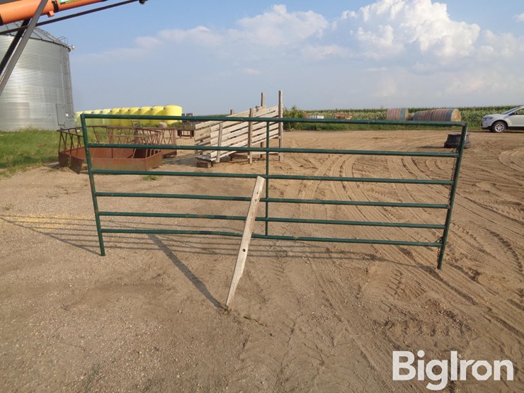livestock-panel-12'-x-5'-image-8