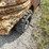 #250-•-tailift-lp-forklift-(shawano,-wi)-image-41