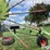 claas-liner-1750-image-10