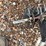 precision-planting-seed-firmers-&-finger-packing-wheels-image-19