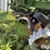 1990-john-deere-7300-image-20