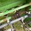 john-deere-8300-image-17