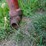 new-idea-324-image-12