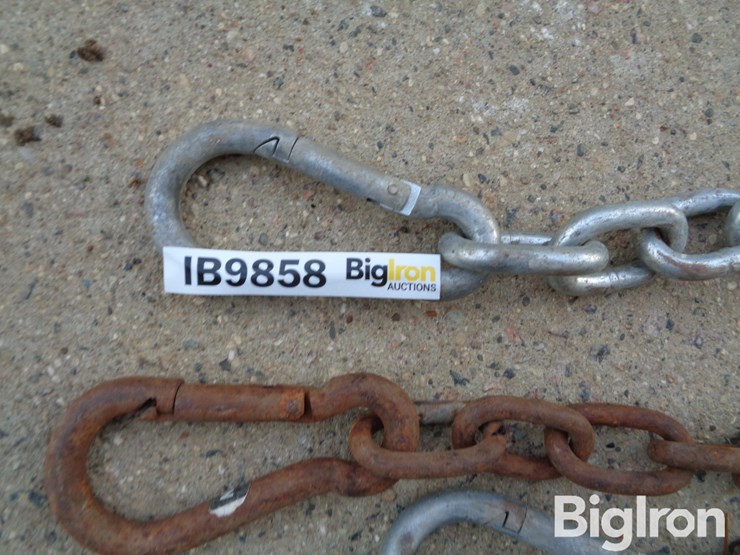 cattle-gate-chains-qty-12-image-12