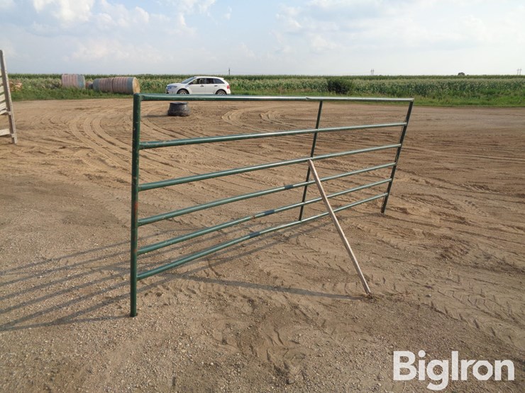 livestock-panel-12'-x-5'-image-1
