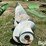 agco-flex-head-auger-image-5