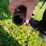 new-idea-324-image-13