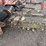 ditch-witch-3610-image-10
