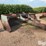 strobel-12’-pull-type-box-scraper-image-3
