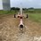 buhler-farm-king-1034-image-2