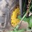 1981-john-deere-4040-image-20
