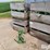 john-deere-1770-image-1
