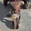 silver-king-tractor-(not-running)-105-image-16