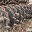 precision-planting-seed-firmers-&-finger-packing-wheels-image-15