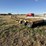 1979-transport-pfgtx-t1-35dw-tri/a-folding-neck-lowboy-image-7