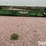 2009-john-deere-630f-image-6