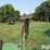 john-deere-7000-image-20