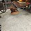 international-workstar-7500-image-43