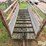 portable-livestock-chute-image-10