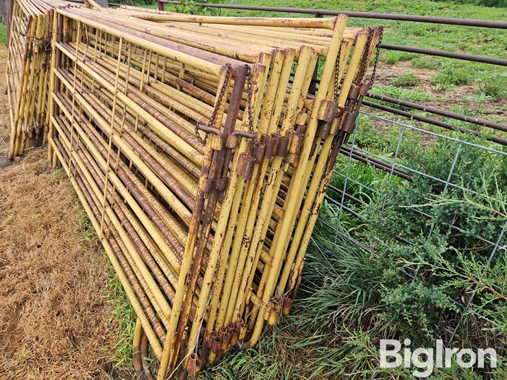livestock-panels-image-5